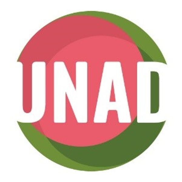 Unión de Asociaciones y Entidades de Atención al Drogodependiente (UNAD)