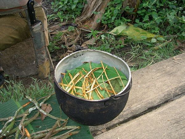 Traditional healing practices involving psychoactive plants and the global mental health agenda: Opportunities, pitfalls and challenges in the “right to science” framework