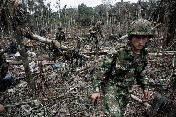 Las razones del aumento de la coca en Colombia