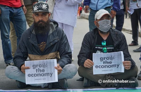 Marihuana en Nepal: Mientras el gobierno empieza a permitir el consumo medicinal, activistas renuevan presión en favor de la comercialización