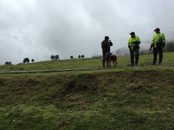 Corrupción y bienes de la mafia en Colombia: un mal difícil de extinguir