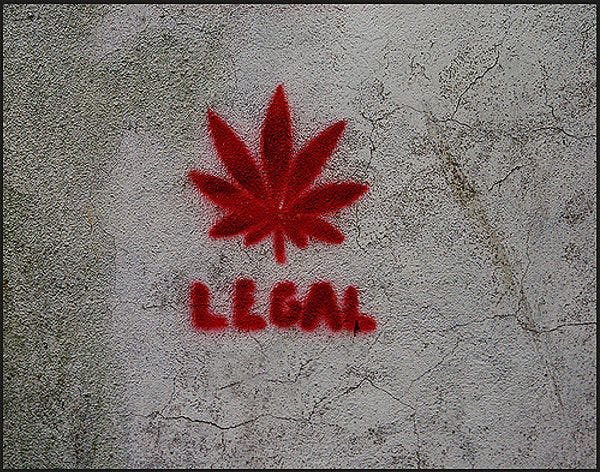 Draconian and unjust punishments continue under Malta’s “treatment not imprisonment” drug law