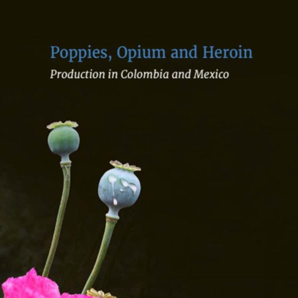 Poppies, opium, and heroin: Production in Colombia and Mexico