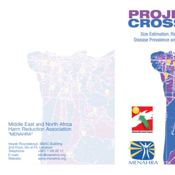Size estimation, risk behavior assessment, and disease prevalence among key populations in Lebanon
