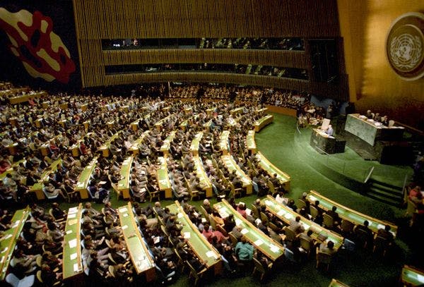 L’ONU reconnaît officiellement l’utilité médicale du cannabis