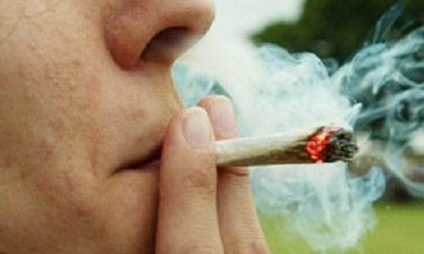 Proyecto en Chile busca distinguir a consumidores de marihuana y traficantes 