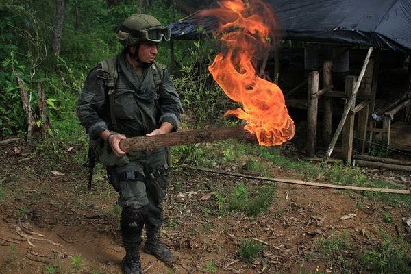 La coca y los subsidios agrícolas mundiales