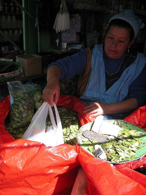 ¿Qué significa ser mujer y cultivar coca?