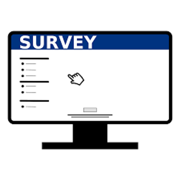 Pilot project: European web survey on drugs: Patterns of use