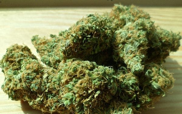 Infléchissement de la loi sur le cannabis au Mexique