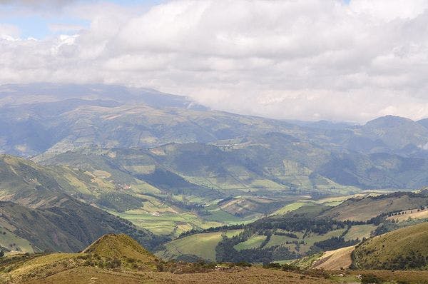 Andinos analizan estrategia regional sobre el problema mundial de las drogas