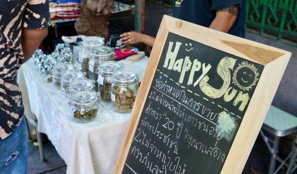 Thailand's promised cannabis bonanza disappoints as politicians trade blame