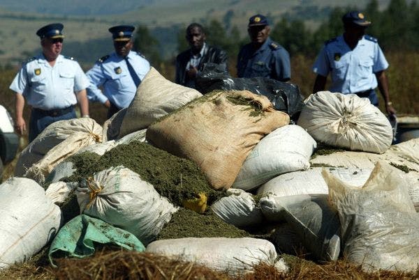 Drogues: appel à la dépénalisation en Afrique de l'Ouest