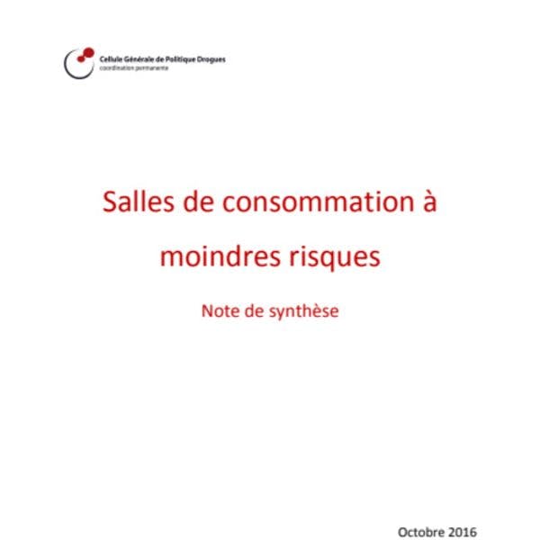 Salles de consommation à moindres risques - Note de synthèse