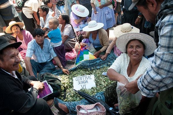 Voces desde el cocal - mujeres que construyen territorio