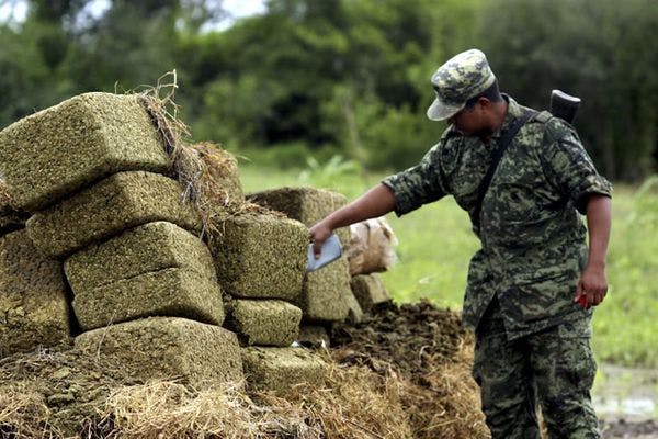 El IDPC pide priorizar los derechos humanos en debate de la OEA sobre drogas