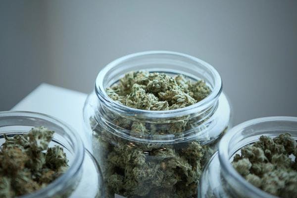 Germany to introduce bill to legalize cannabis in the coming weeks