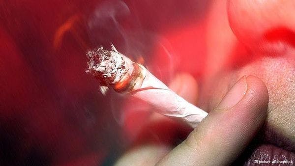 Les professeurs de droit allemands demandent la légalisation du cannabis