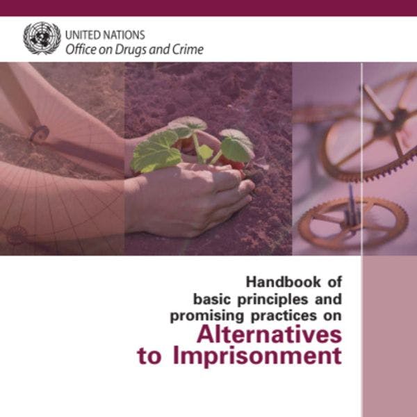 Handbook of basic principles and promising practices on alternatives to imprisonment