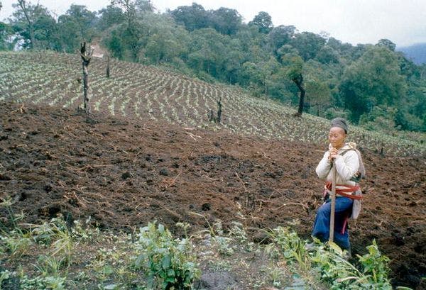 El control de drogas no funciona: el consumo y la producción se han disparado