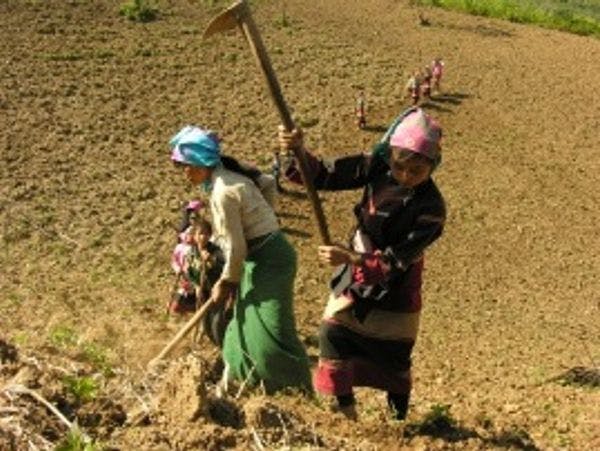 Segundo Foro Regional: Cadenas productivas y asociaciones de productores de desarrollo alternativo en zonas de cultivo de coca