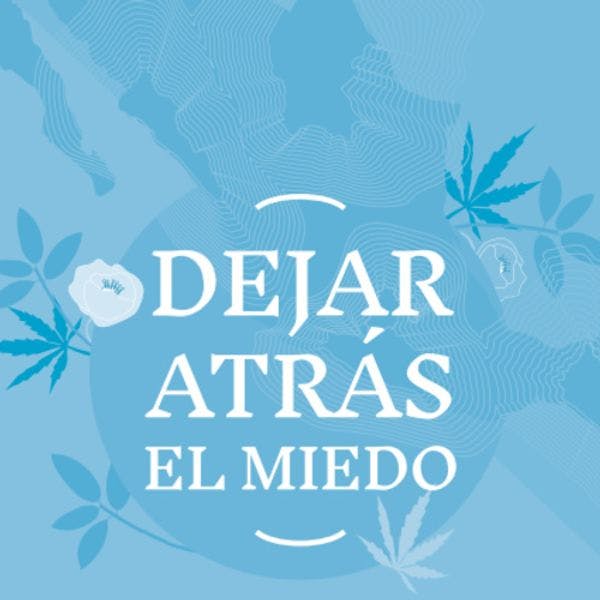 Dejar atrás el miedo - Reflexiones sobre la construcción de paz en México