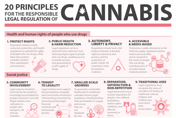 Global NGO network outlines 20 ways to make cannabis industries equitable