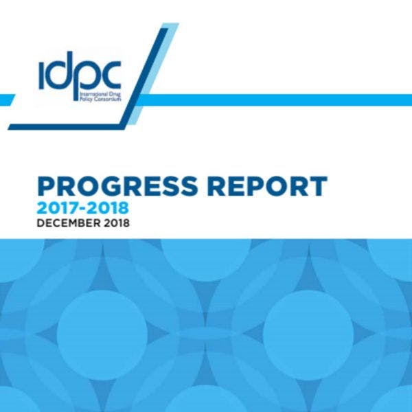 Informe sobre la marcha de las actividades del IDPC - 2017/2018