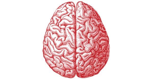 Marijuana use associated with lower death rates in patients with traumatic brain injuries